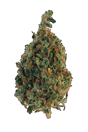 Purple Candy | MMJDirect Canada Purple Candy | MMJDirect Canada