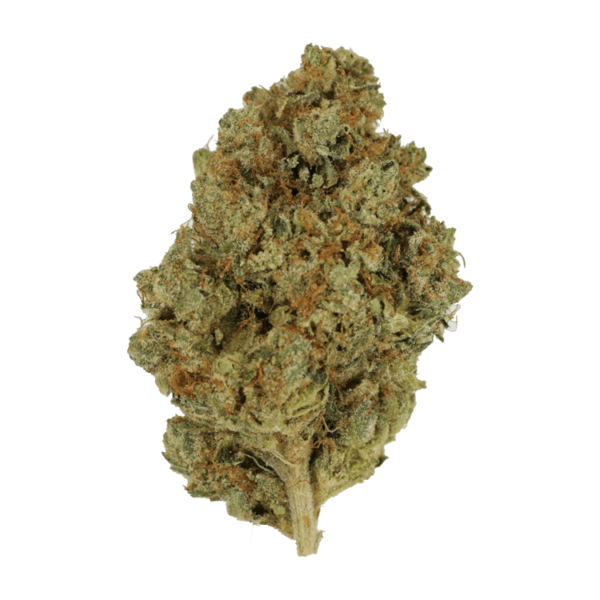 Nepalese | MMJDirect Canada
