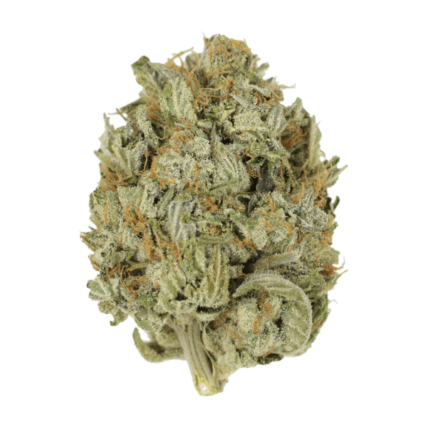 Blue Dream (Popcorn) | MMJDirect Canada