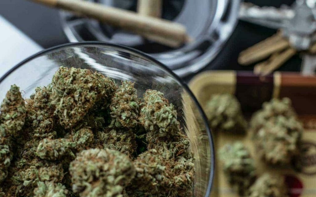 Premium cannabis vs Affordable Weed | MMJDirect Canada