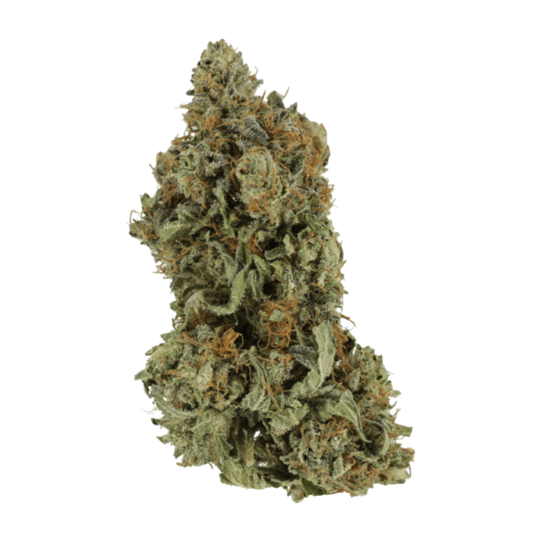 Bruce Banner #3 | MMJDirect Canada