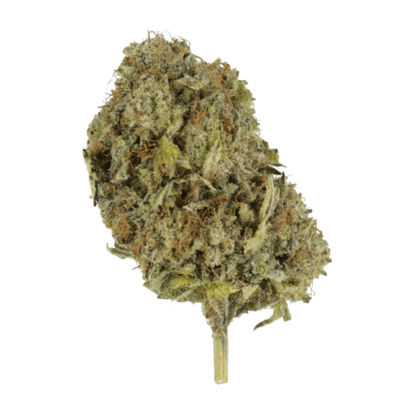 Chemo | MMJDirect Canada