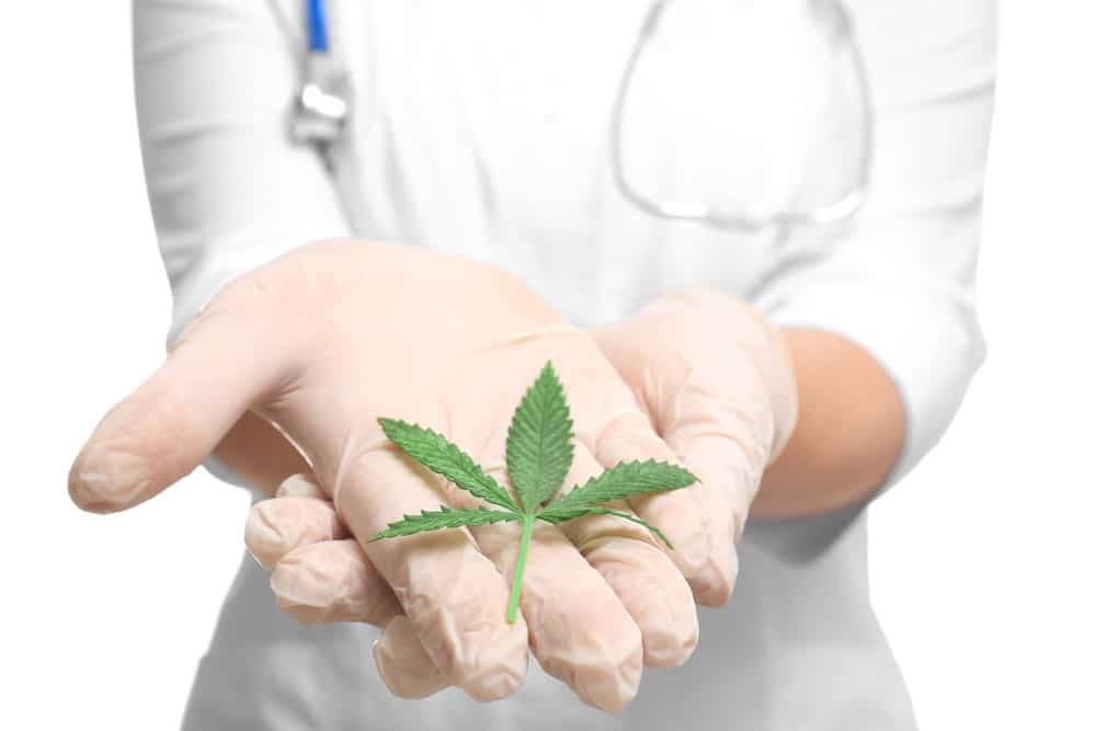 Cannabis as a natural cure for pain | MMJDirect Canada