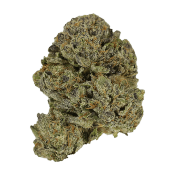 Lavender | MMJDirect Canada