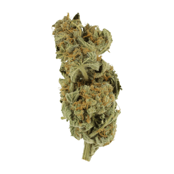 Gorilla Glue | MMJDirect Canada