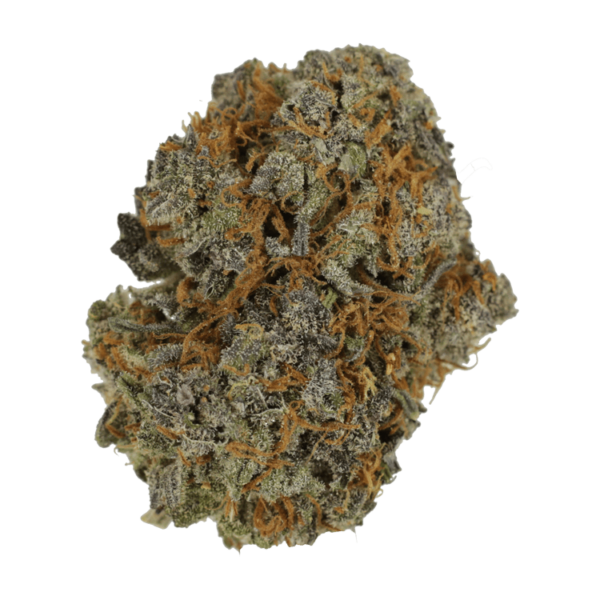 Jack Herer 1 Ounce | MMJDirect Canada