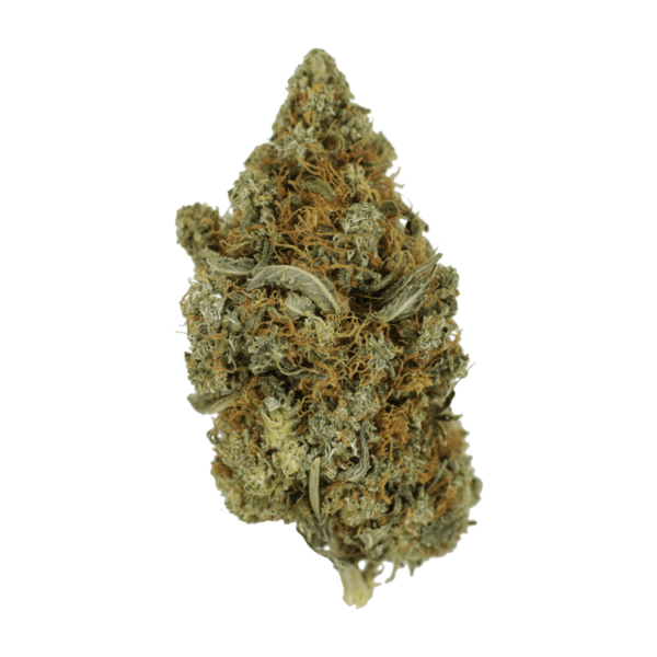 Jack Herer 1 Ounce | MMJDirect Canada