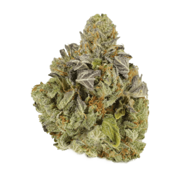 Jet Fuel | MMJDirect Canada