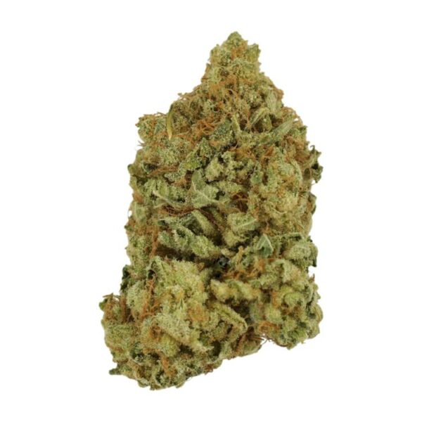Blueberry | MMJDirect Canada