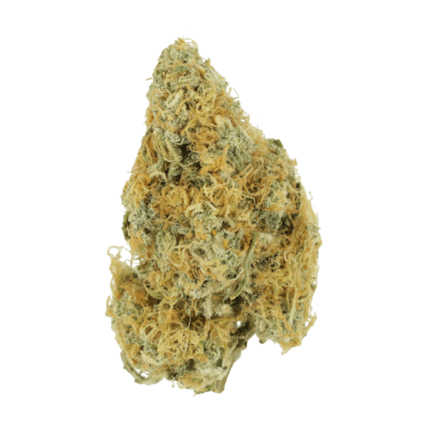 Alien OG (Popcorn) – 2OZ/$69 | MMJDirect Canada