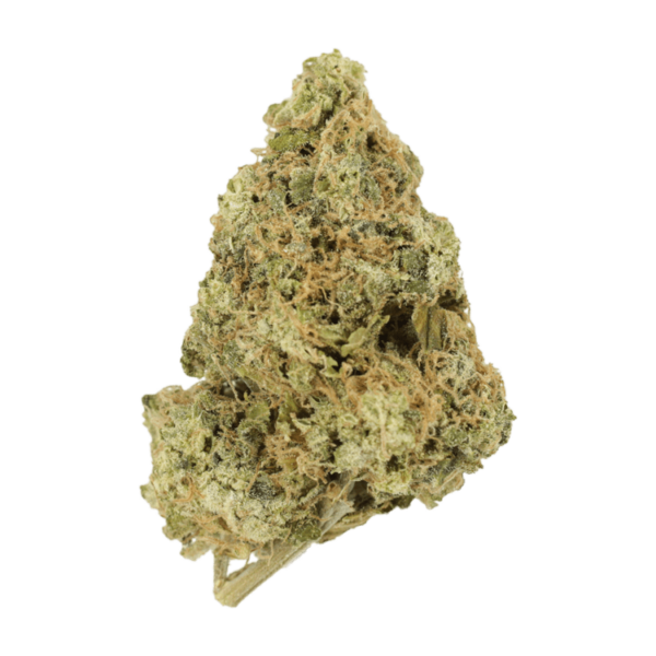 Zombie OG | MMJDirect Canada