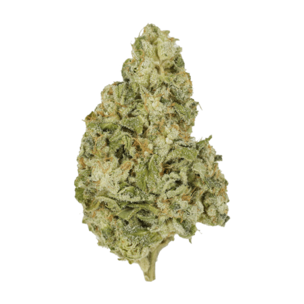 Zombie OG | MMJDirect Canada