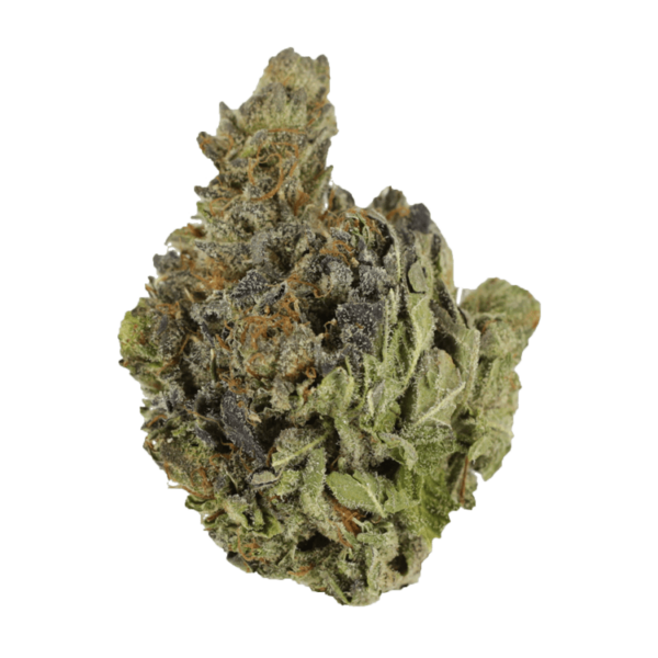 Chocolope | MMJDirect Canada