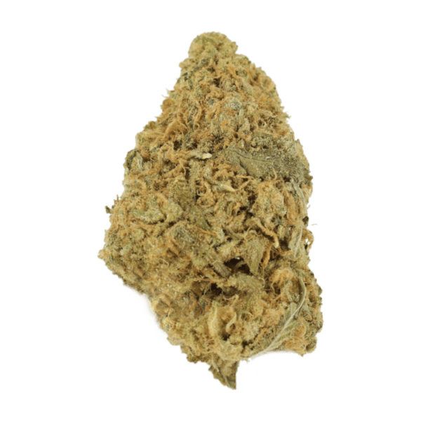 Zombie OG | MMJDirect Canada
