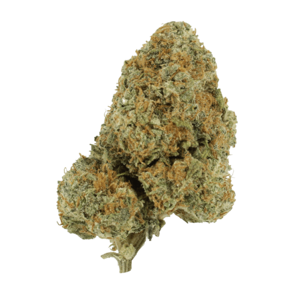 Blue Rhino | MMJDirect Canada