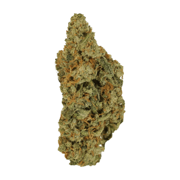 Mimosa | MMJDirect Canada