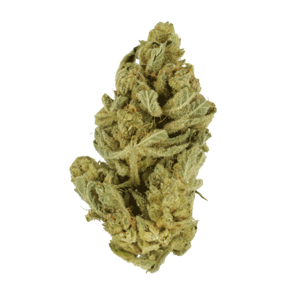 Hindu Kush – 7g | MMJDirect Canada