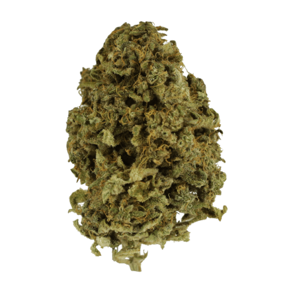 MMJDirect Canada - Nebula