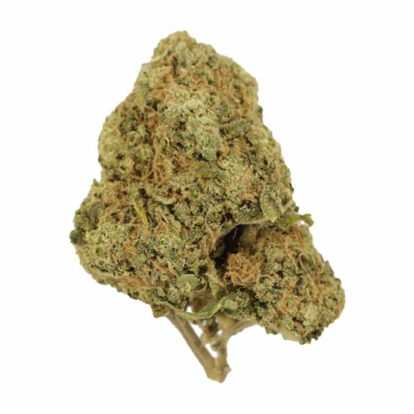 Tangerine Dream | MMJDirect Canada