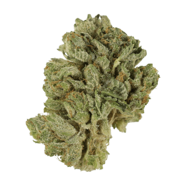 Northern Lights 2 for $69 | MMJDirect Canada