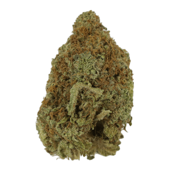 Mango Haze | MMJDirect Canada