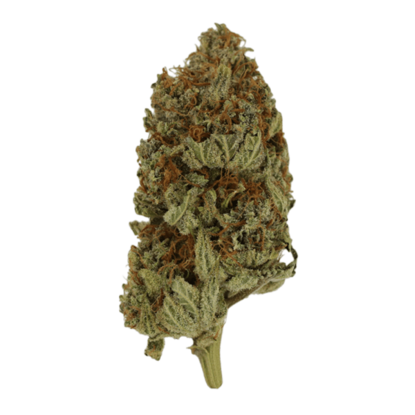Congo | MMJDirect Canada
