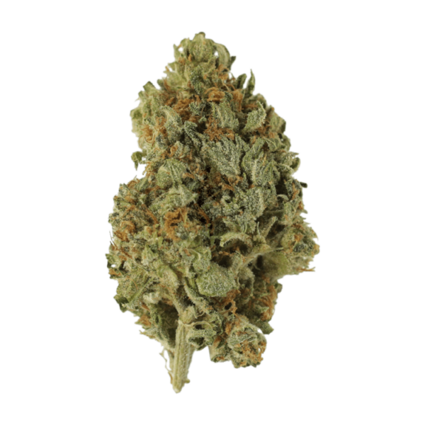 Sugar Cookies | MMJDirect Canada