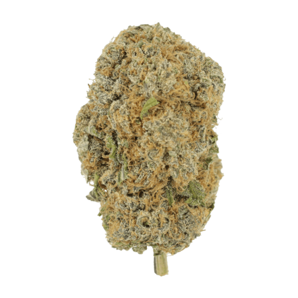 Pine Tar - | MMJDirect Canada