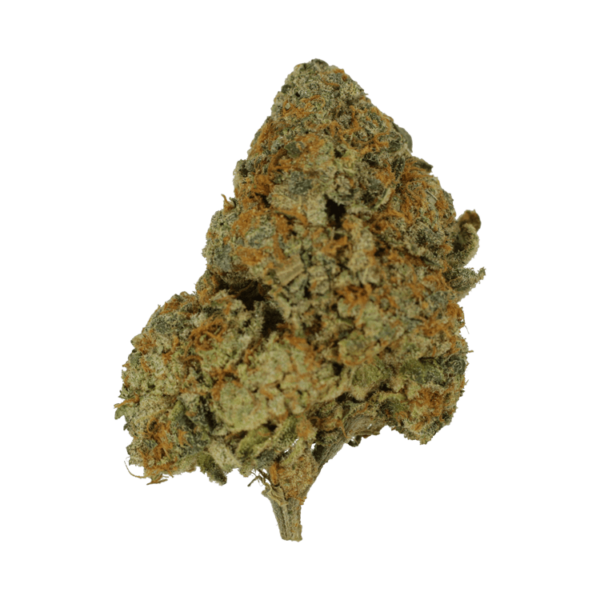 9lb Hammer | MMJDirect Canada
