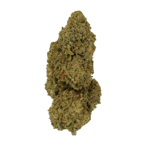 9lb Hammer | MMJDirect Canada