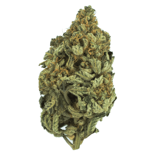 Bakerstreet | MMJDirect Canada