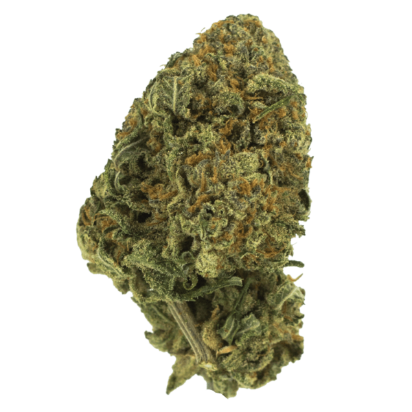 Black Nuken | MMJDirect Canada