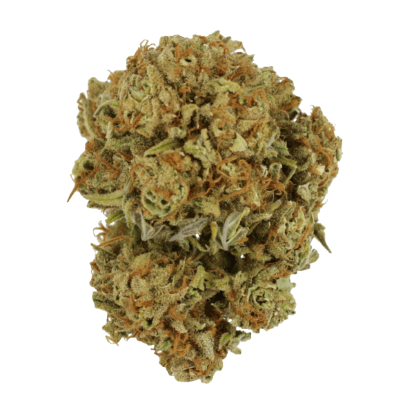Maui Wowie | MMJDirect Canada