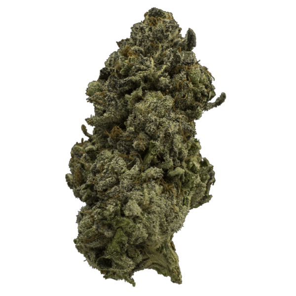 Fire Alien Urkle | MMJDirect Canada