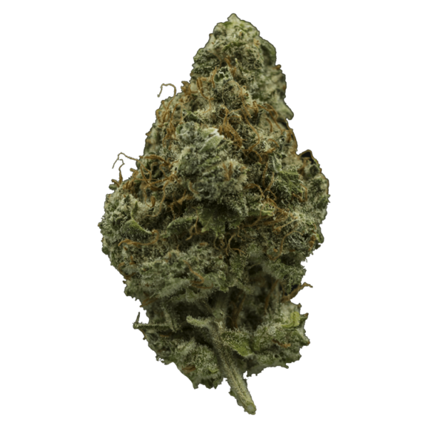 El Fuego | MMJDirect Canada