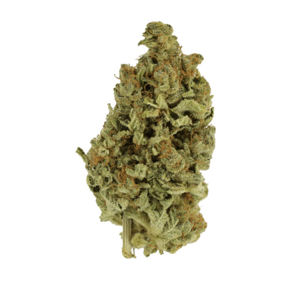 Cali Gold | MMJDirect Canada