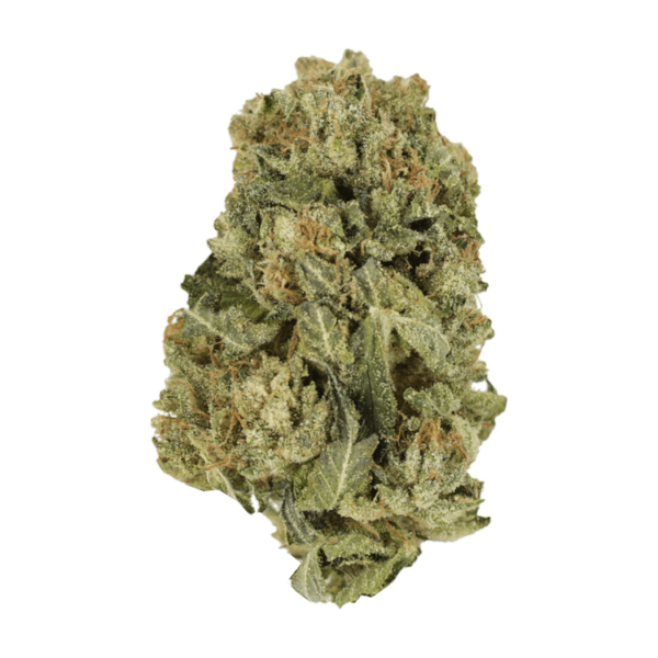 Black Domina | MMJDirect Canada