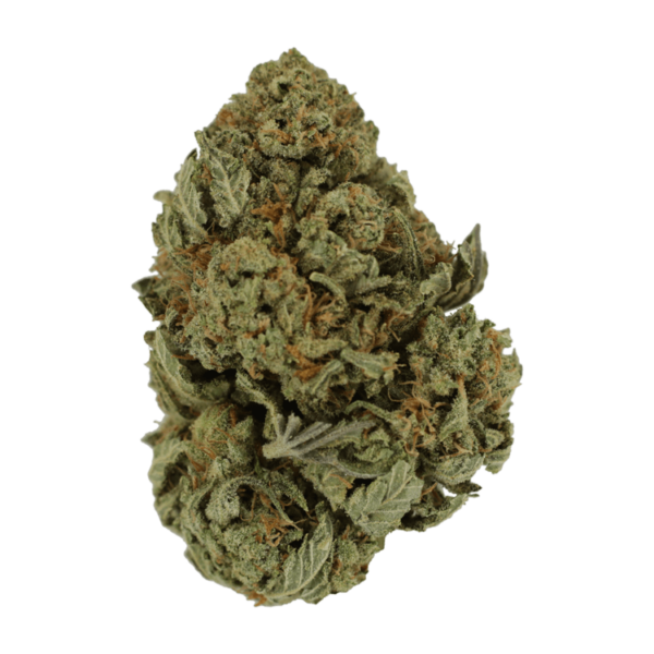 Master Kush Ultra | MMJDirect Canada