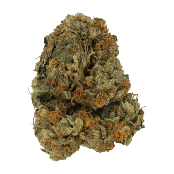 Dolato – 1OZ | MMJDirect Canada