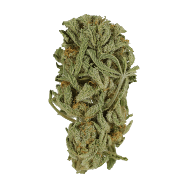 Master Kush Ultra | MMJDirect Canada