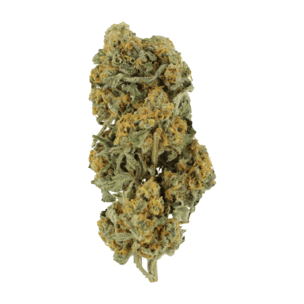 Miracle Alien Cookies | MMJDirect Canada