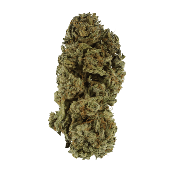 Black Kush – 1 ounce | MMJDirect Canada