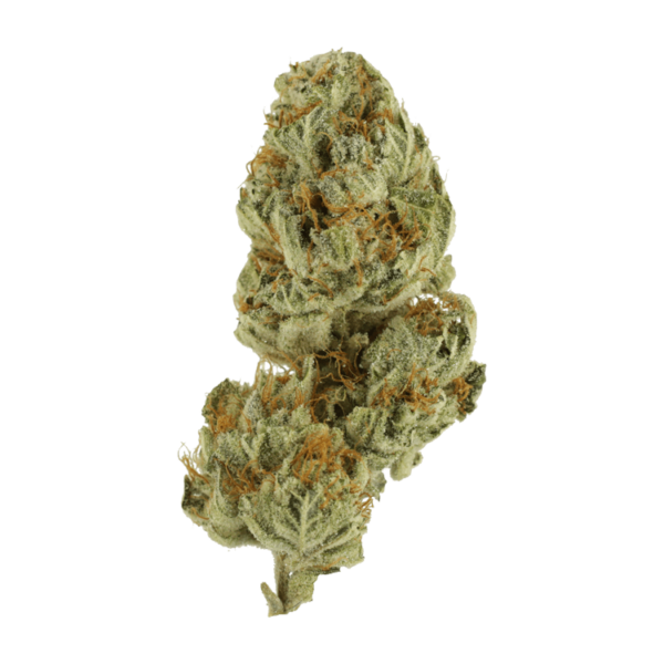 Strawberry Glue | MMJDirect Canada