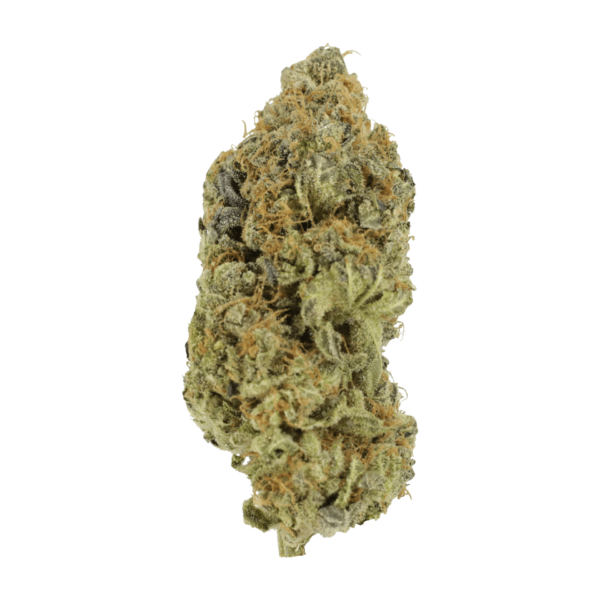 Critical Widow | MMJDirect Canada