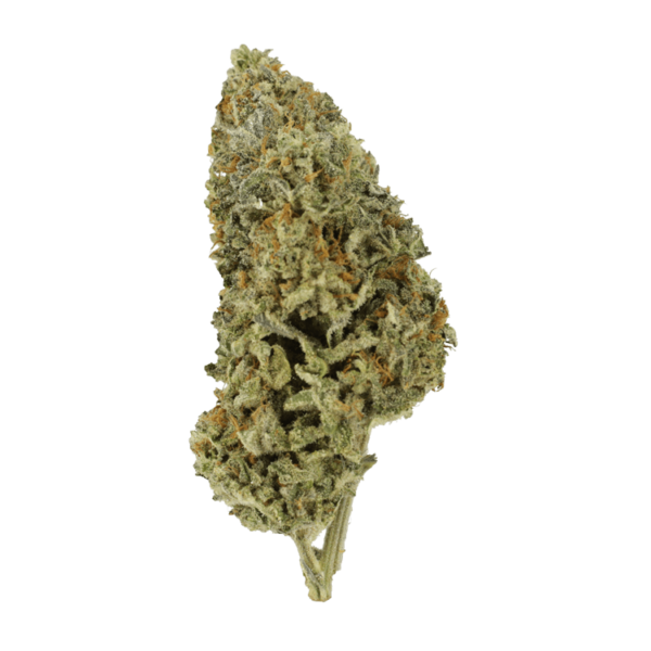 Super Silver Sour Diesel | MMJDirect Canada