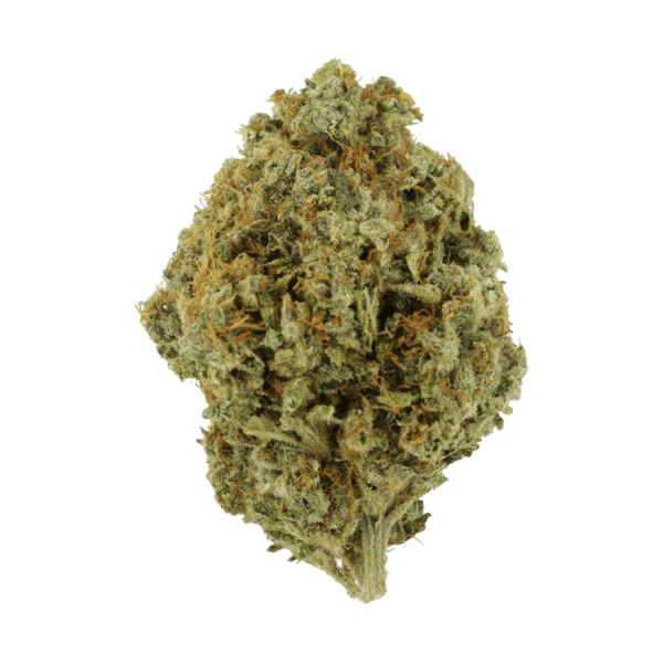 Orange Barb | MMJDirect Canada