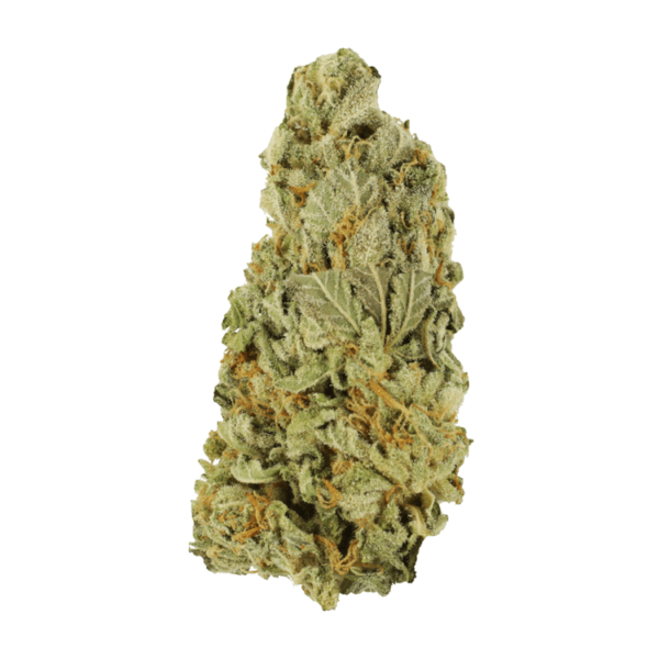 Green Congo | MMJDirect Canada