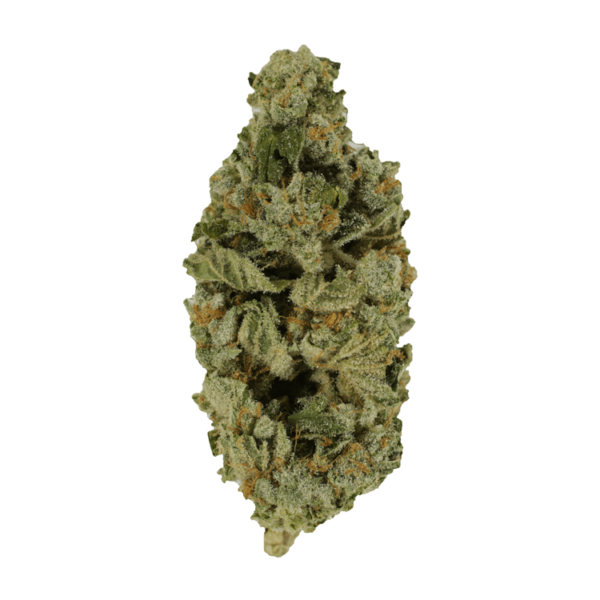 Crazy Glue | MMJDirect Canada