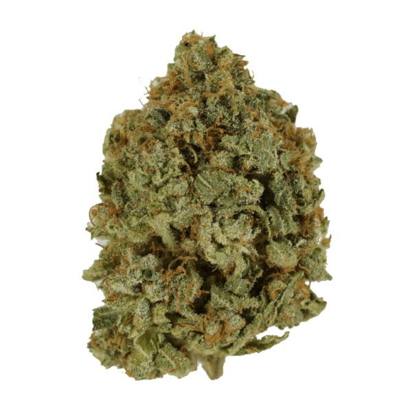 Crazy Glue | MMJDirect Canada