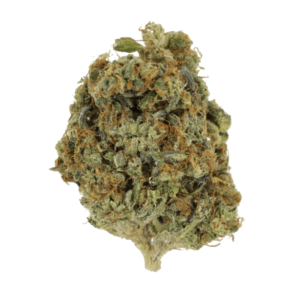 Sunset Sherbert | MMJDirect Canada